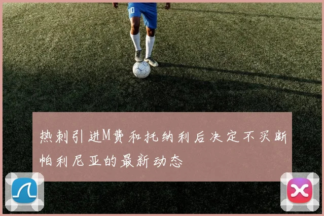 热刺引进M费和托纳利后决定不买断帕利尼亚的最新动态