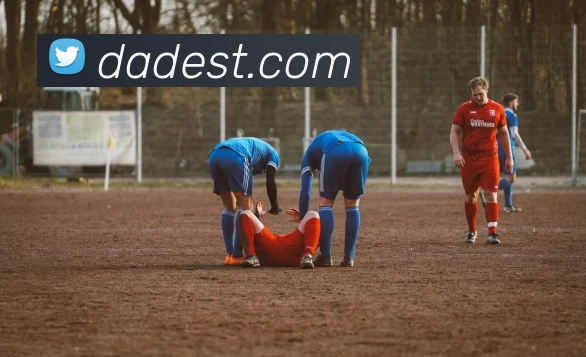 MKSports官方网站入口平台生态图